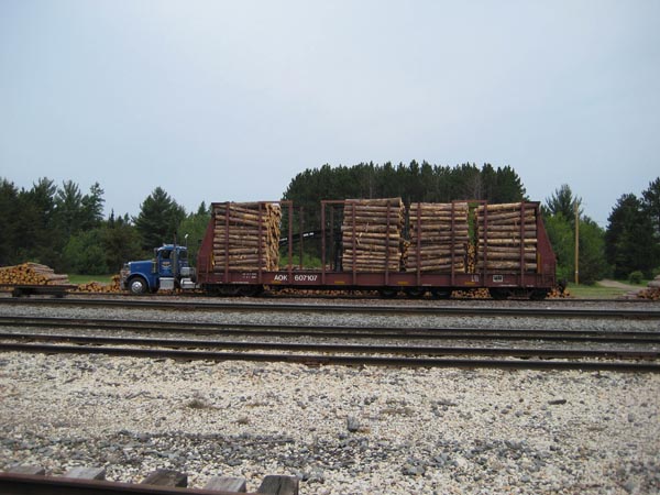logs
